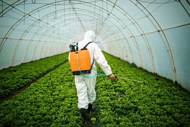 Best Commercial Pest Control Services  in Willowbrook, CA