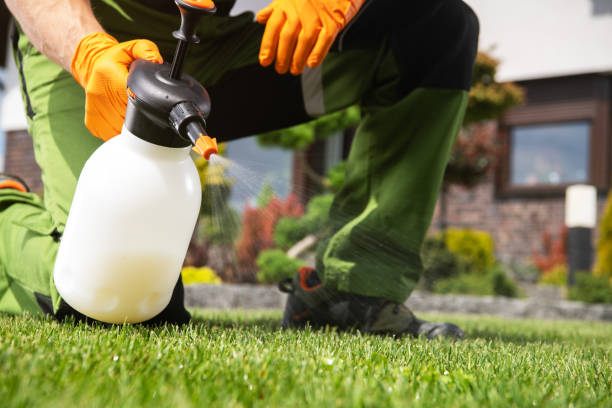 Best Pest Control Near Me in Willowbrook, CA