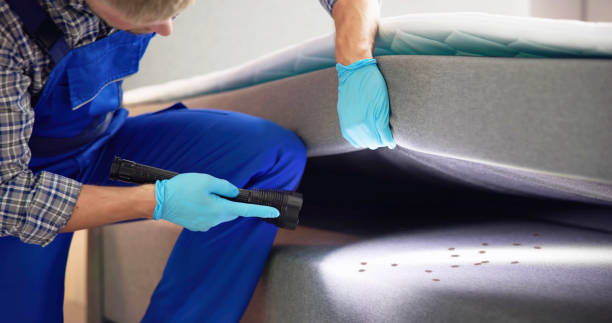 Best Best Pest Control Companies  in Willowbrook, CA