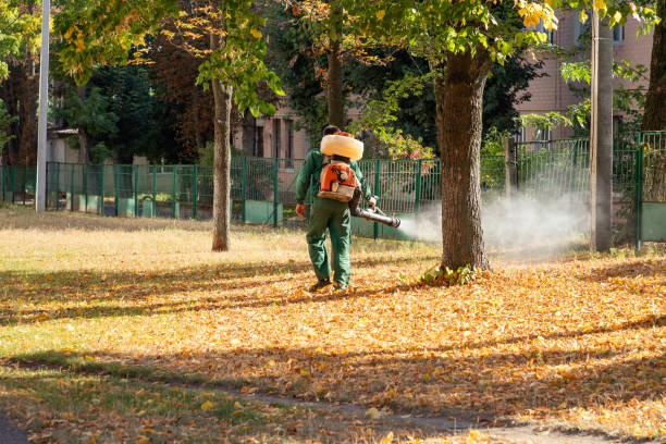 Best Residential Pest Control  in Willowbrook, CA